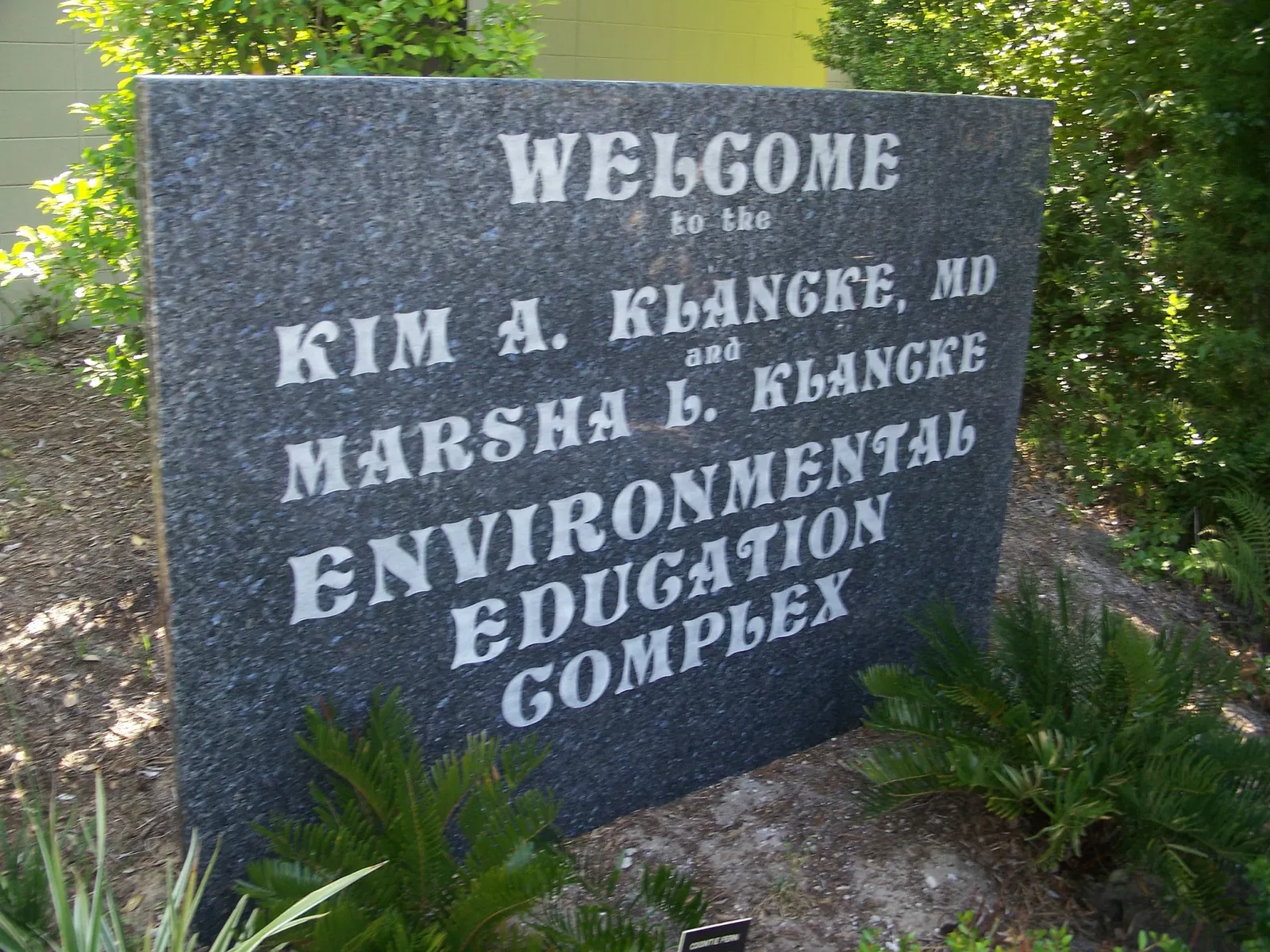 Museum of Arts & Sciences