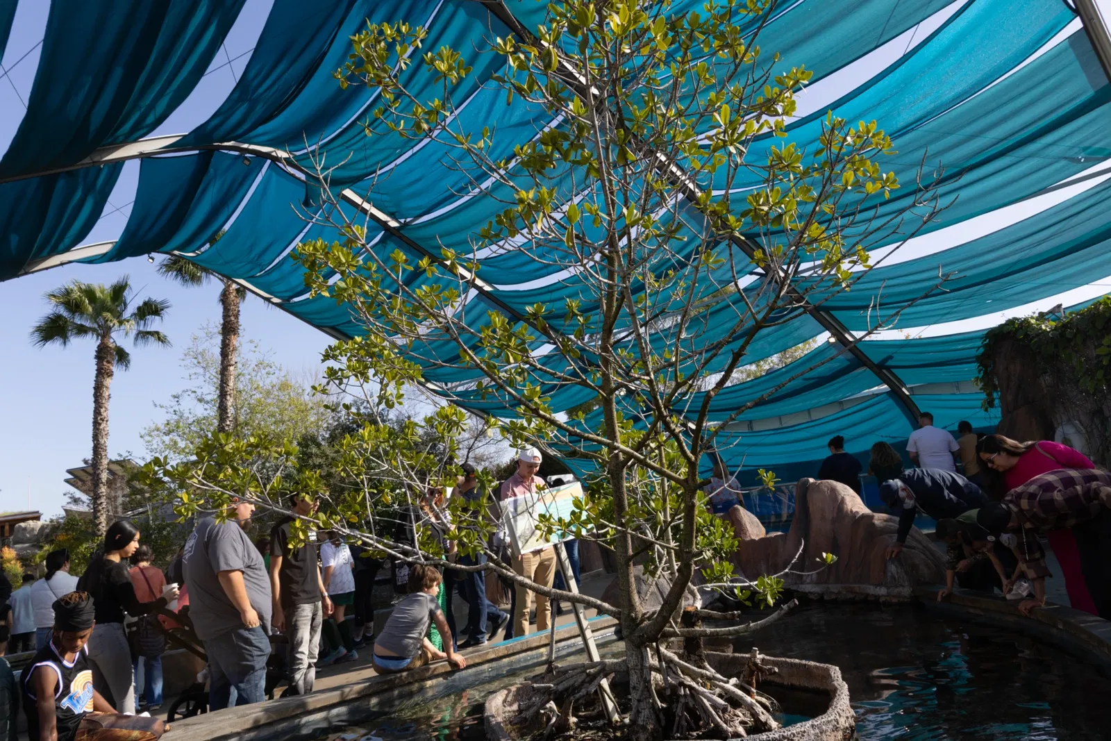 Aquarium du Pacifique