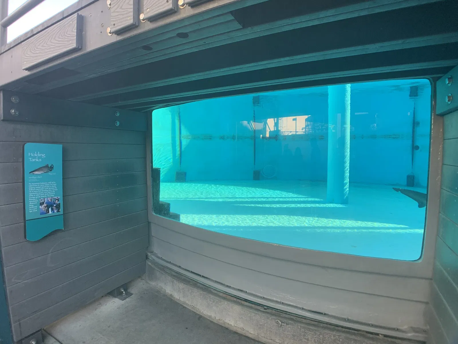 Acuario del Pacífico