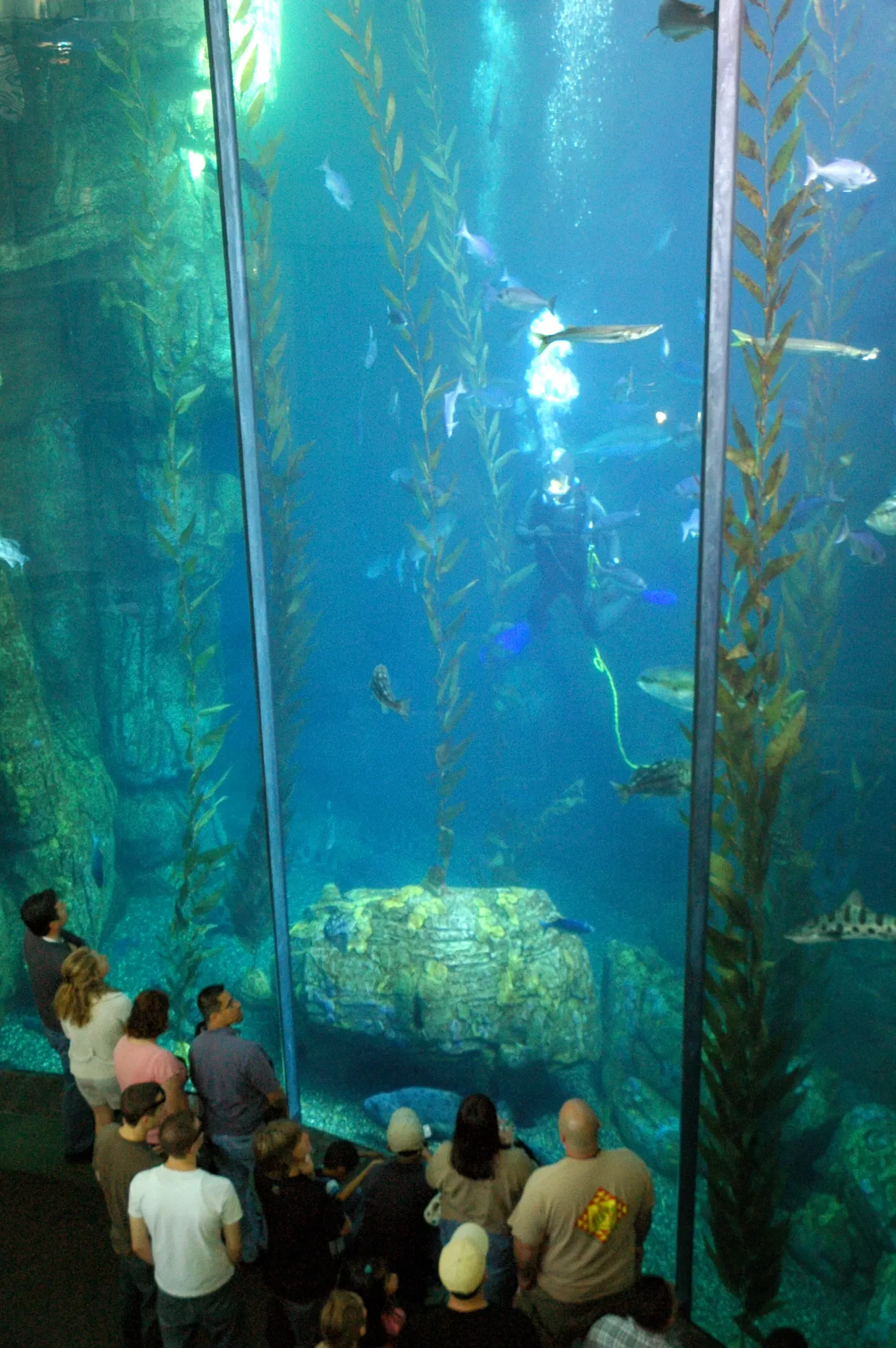 Aquarium of the Pacific