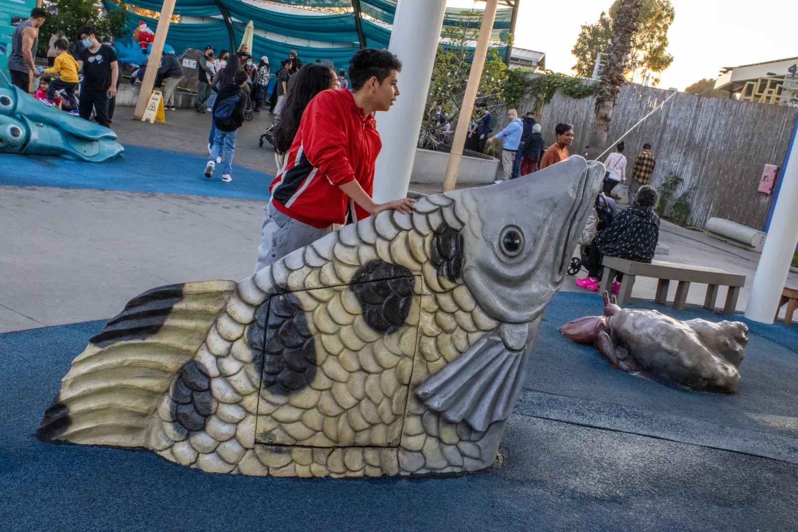 Acuario del Pacífico