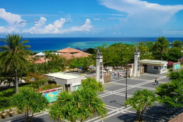 Ocean Expo Park Tropical & Subtropical Arboretum