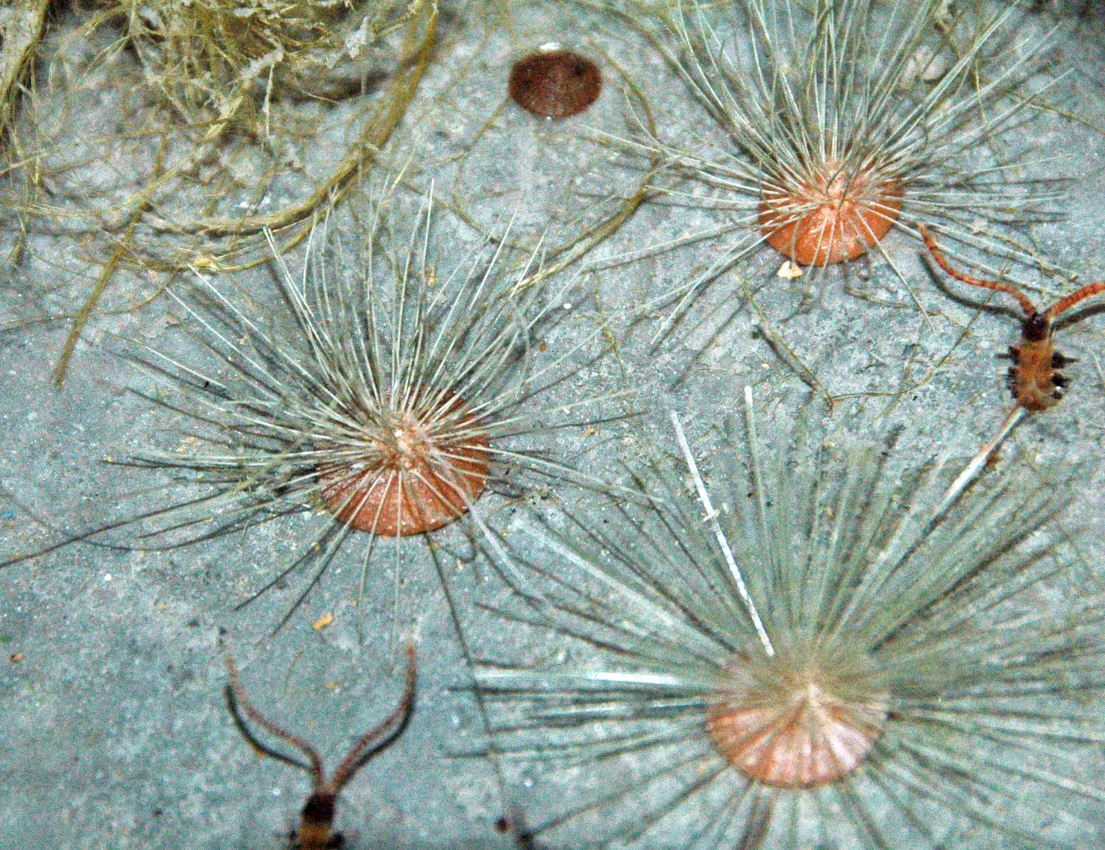 Museo de las Rocosas