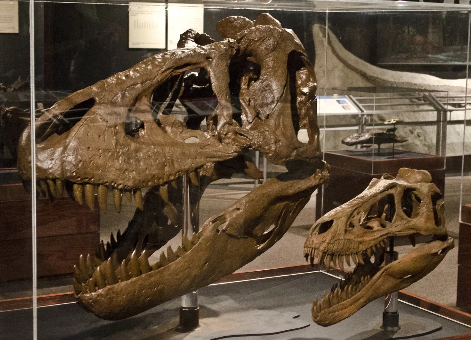 Museo de las Rocosas