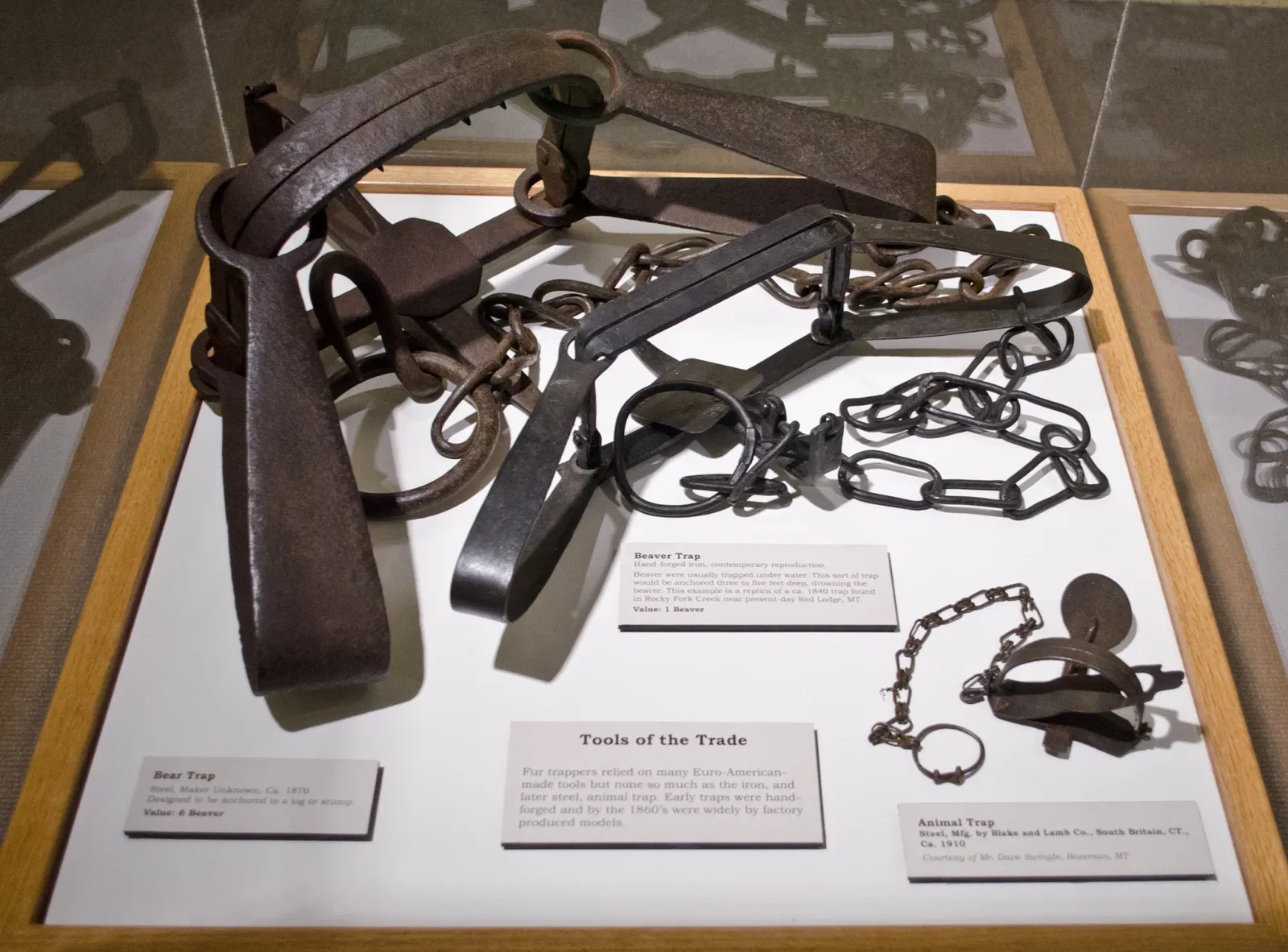 Museum of the Rockies