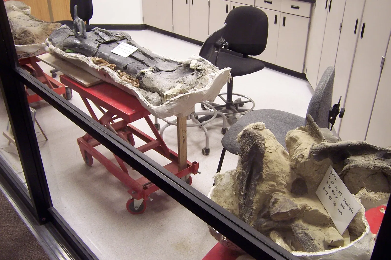 Museo de las Rocosas