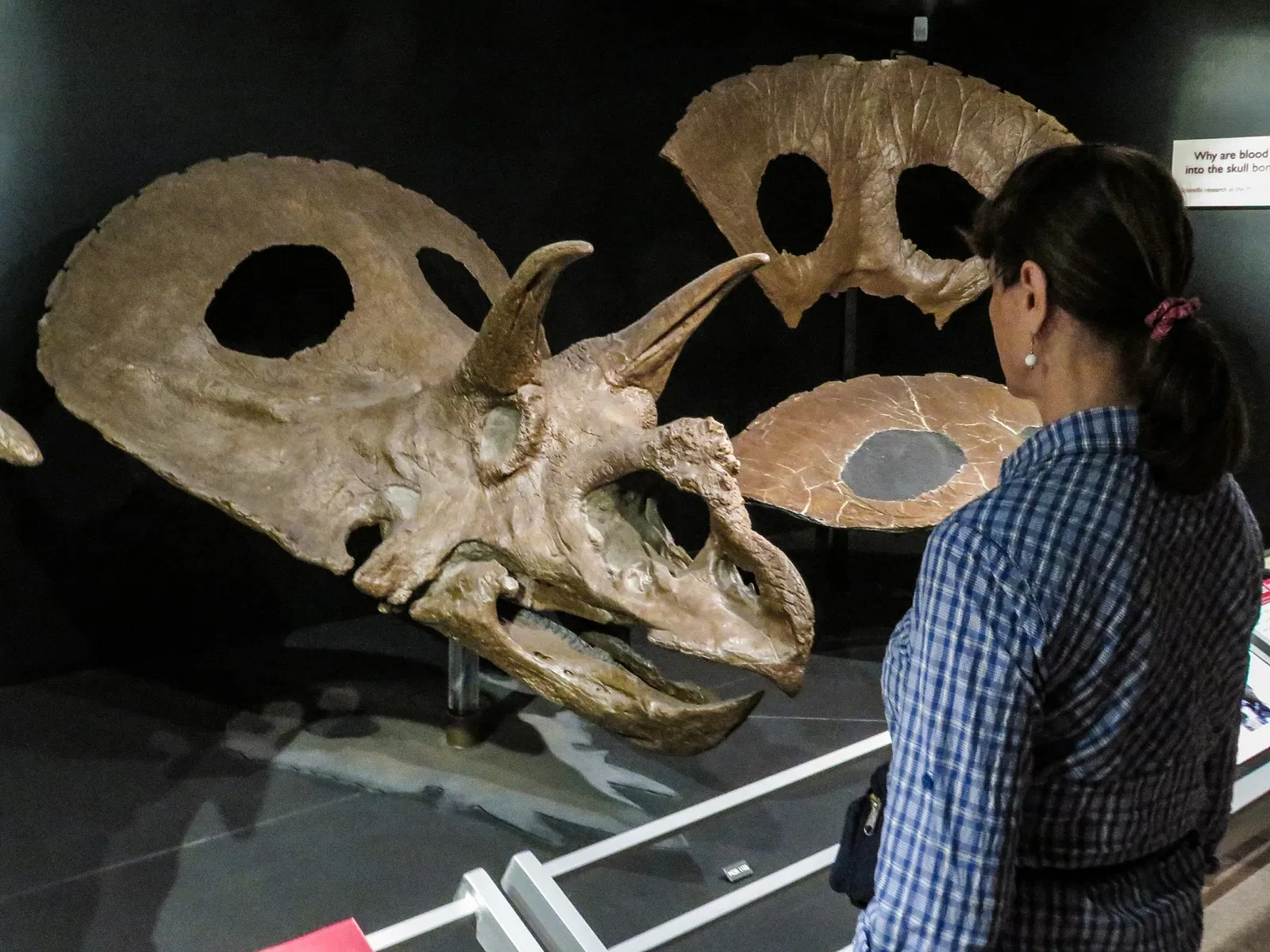 Museo de las Rocosas