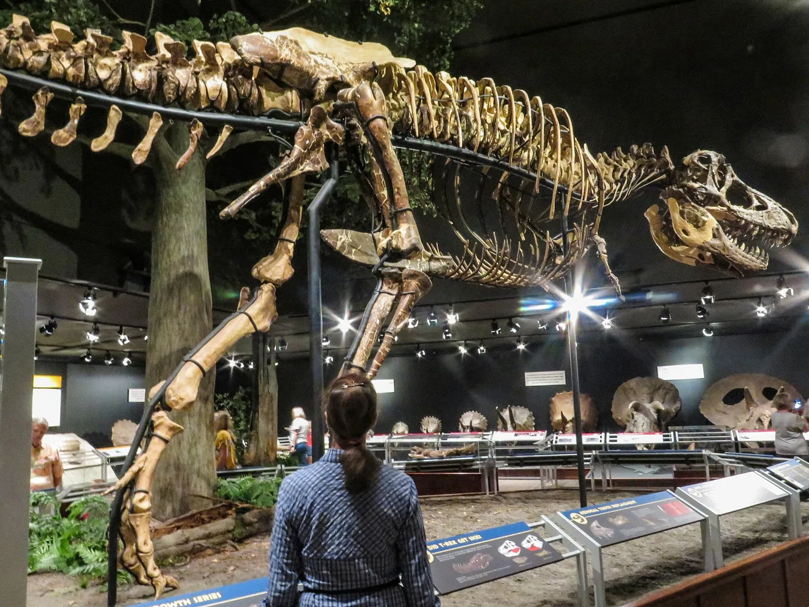 Museo de las Rocosas