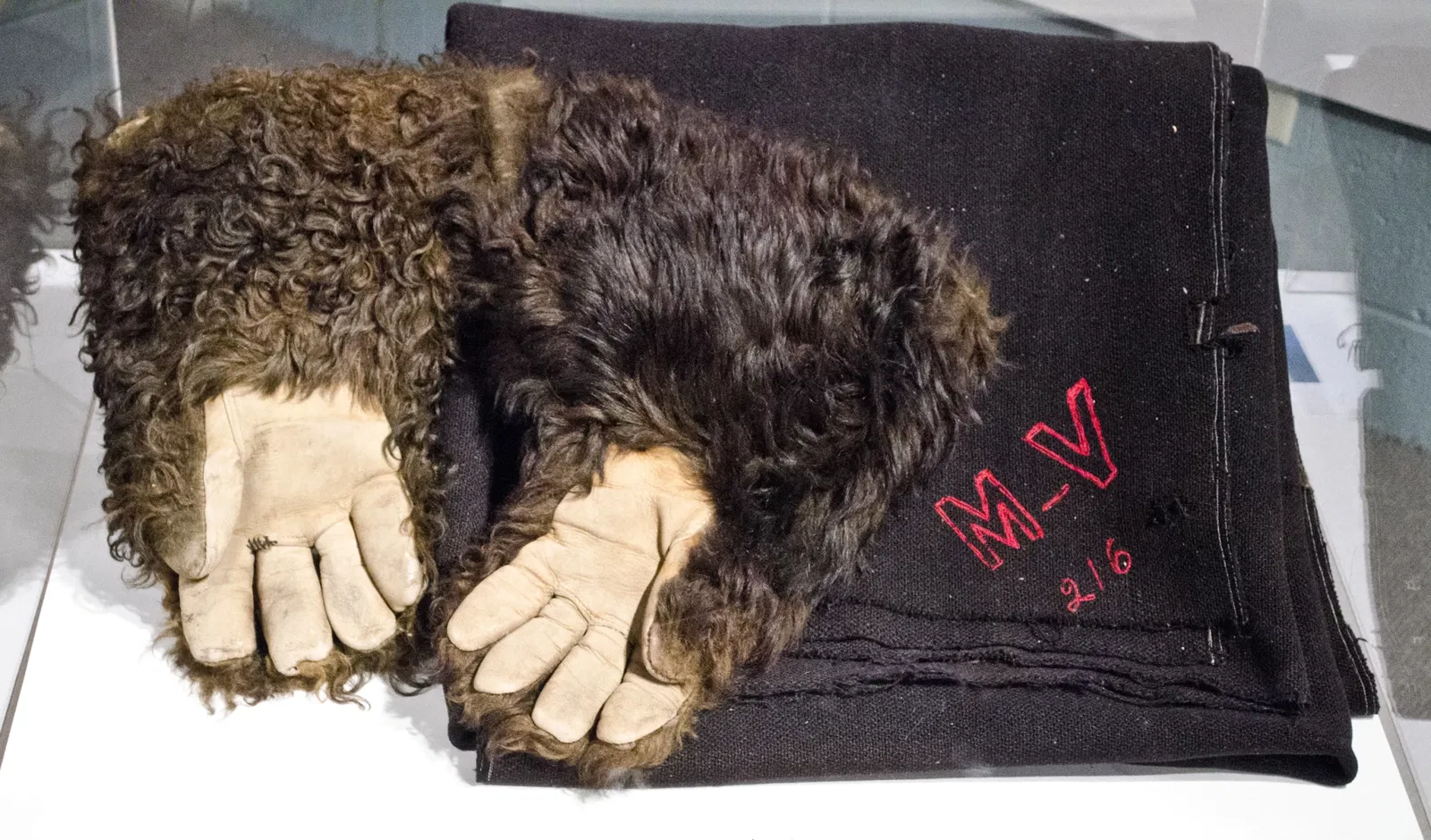 Museo de las Rocosas