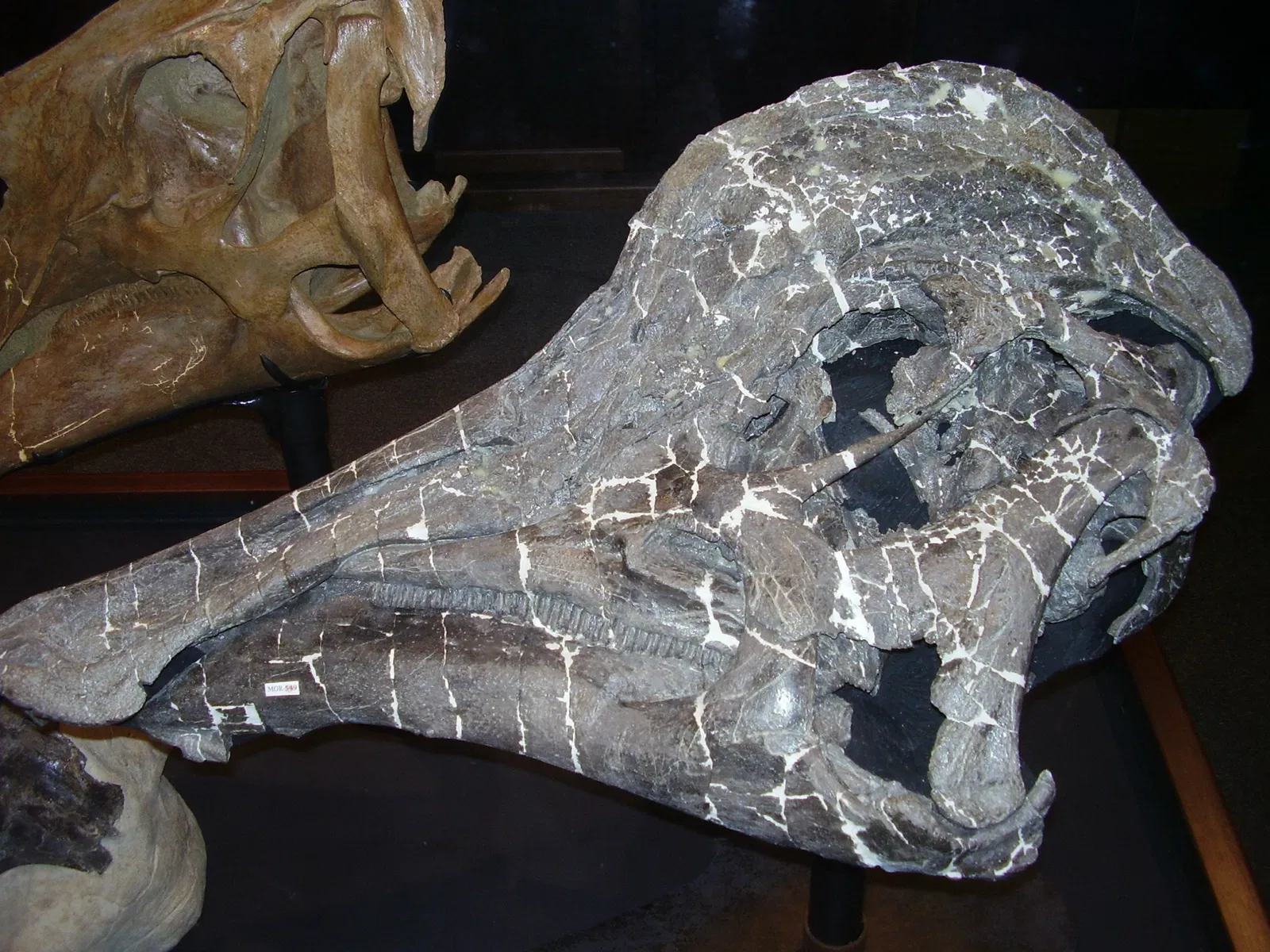 Museo de las Rocosas