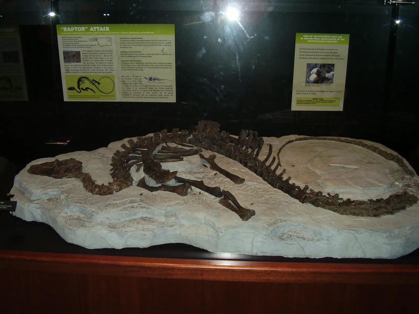 Museo de las Rocosas