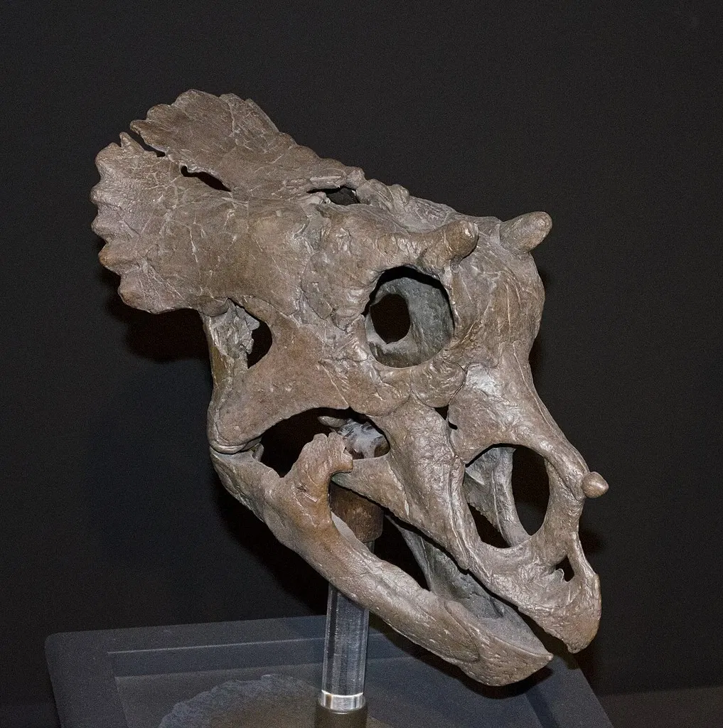 Museo de las Rocosas