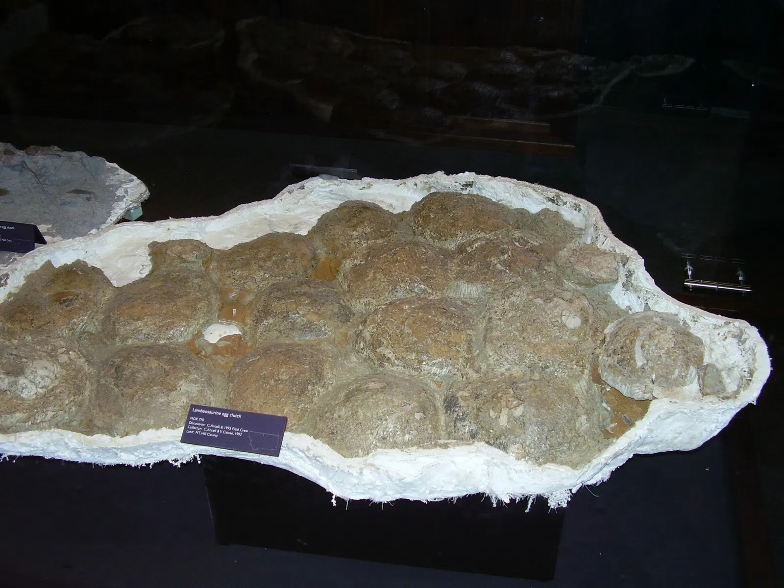 Museo de las Rocosas