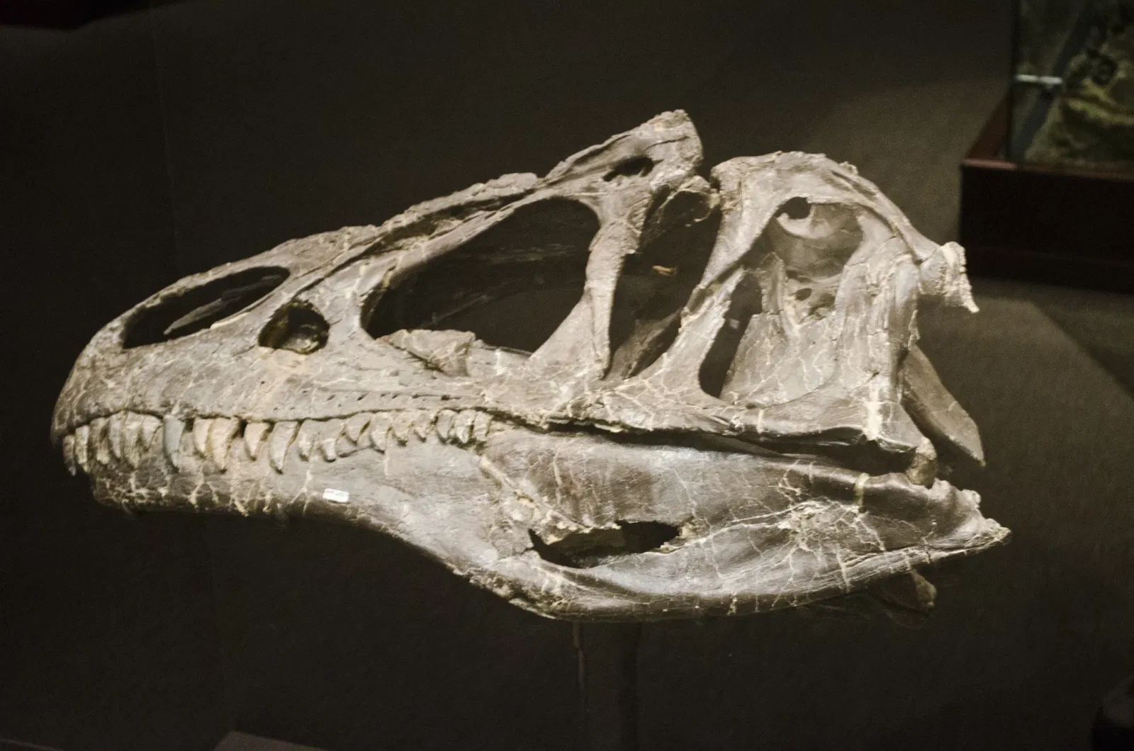 Museo de las Rocosas