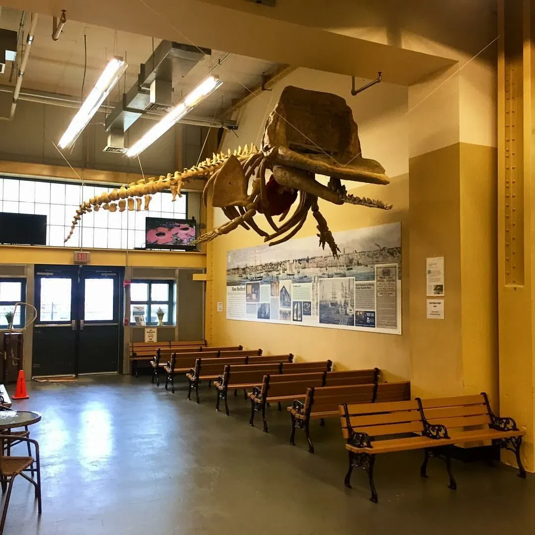 New Bedford Whaling Museum