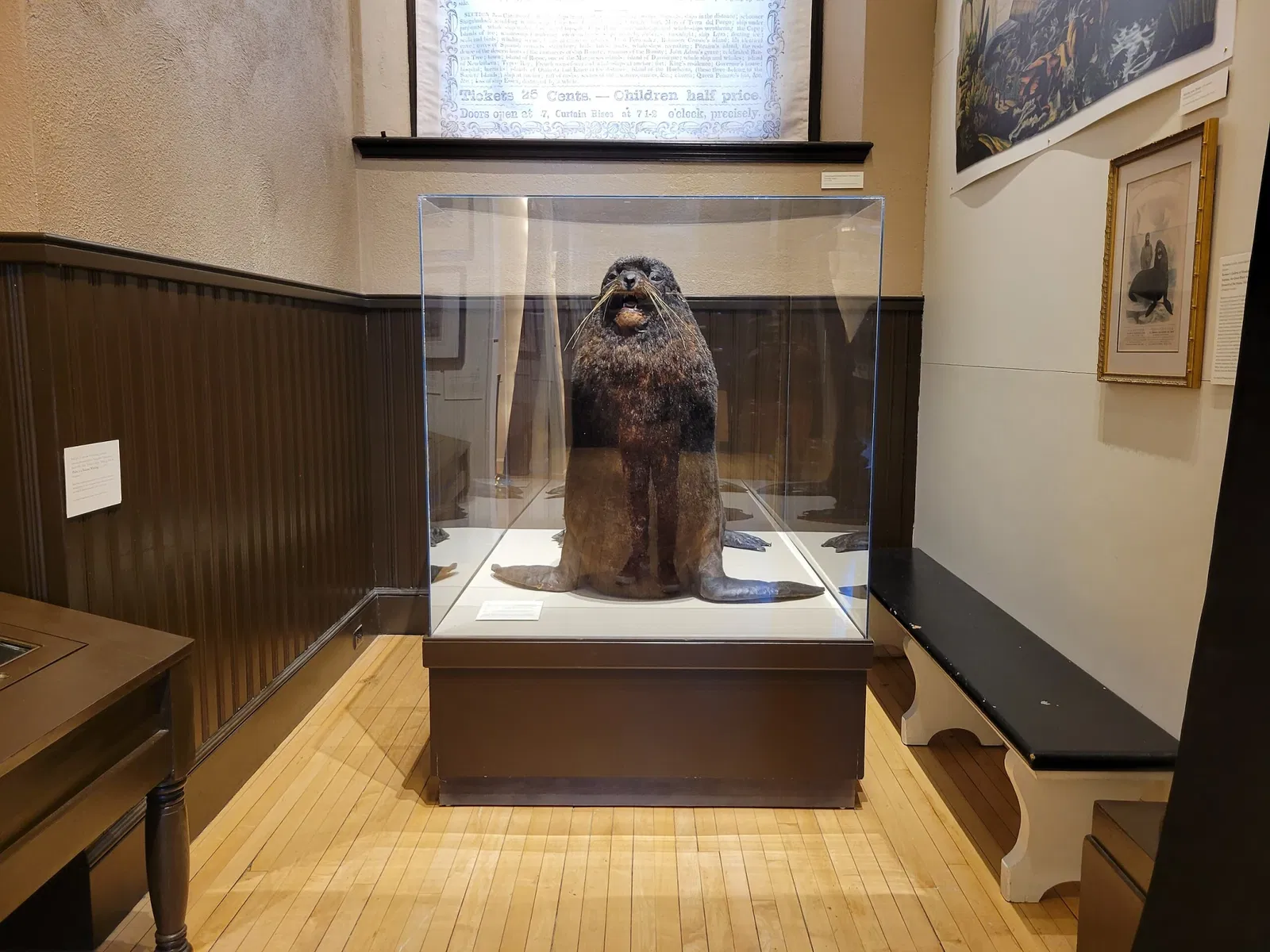 New Bedford Whaling Museum