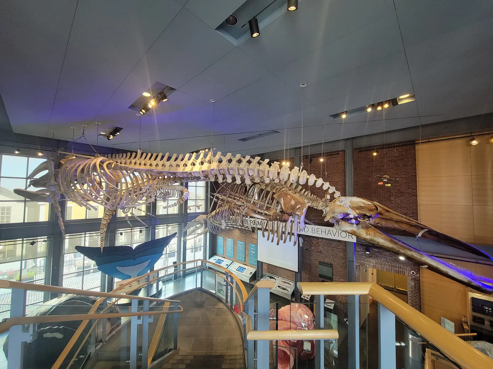 New Bedford Whaling Museum