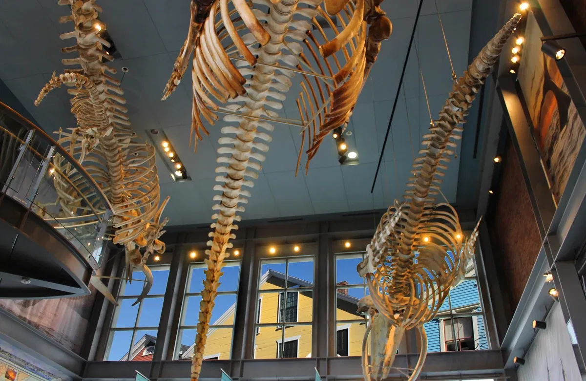 New Bedford Whaling Museum