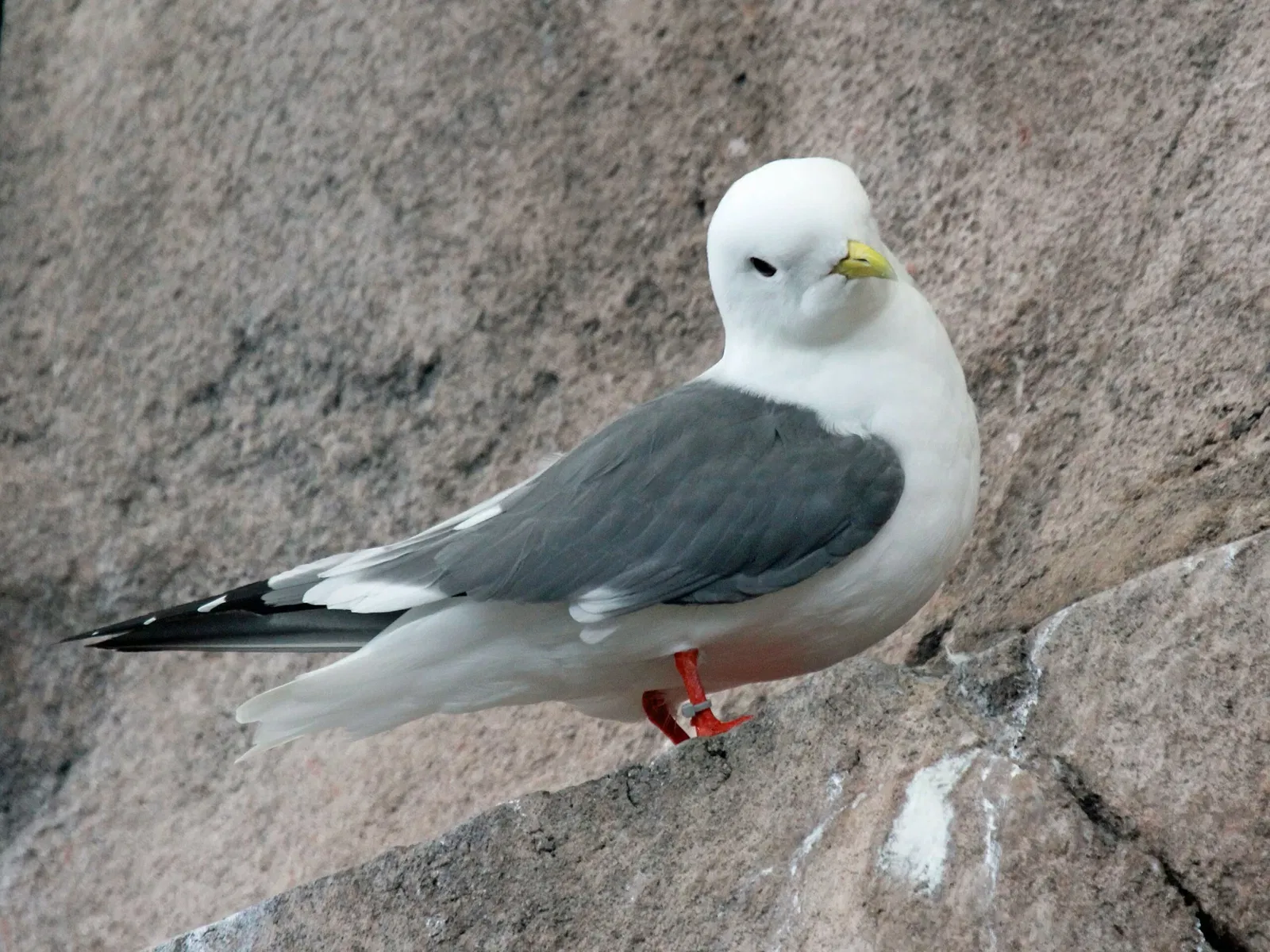 Alaska Sealife Center