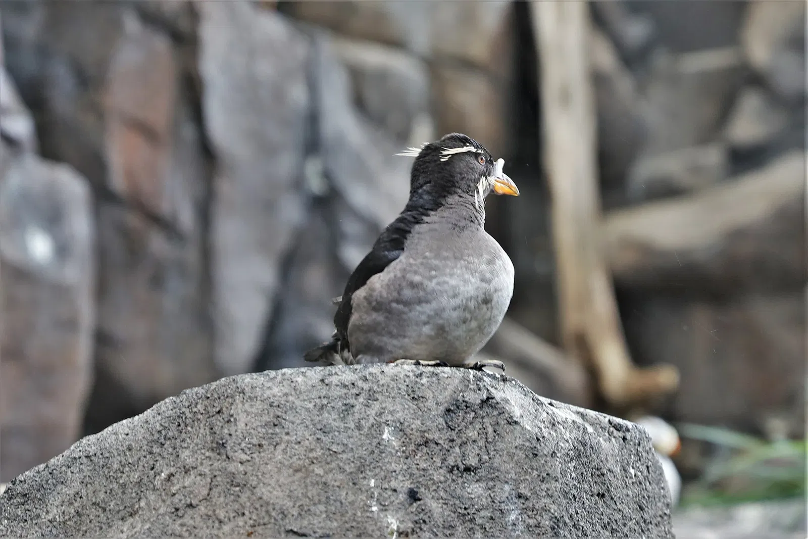 Alaska Sealife Center