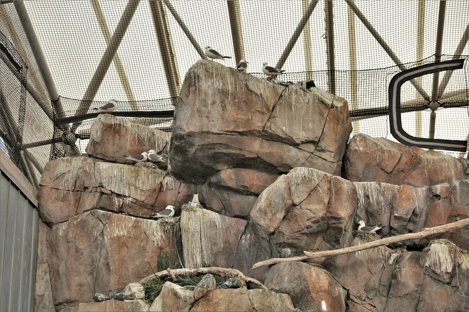 Alaska Sealife Center