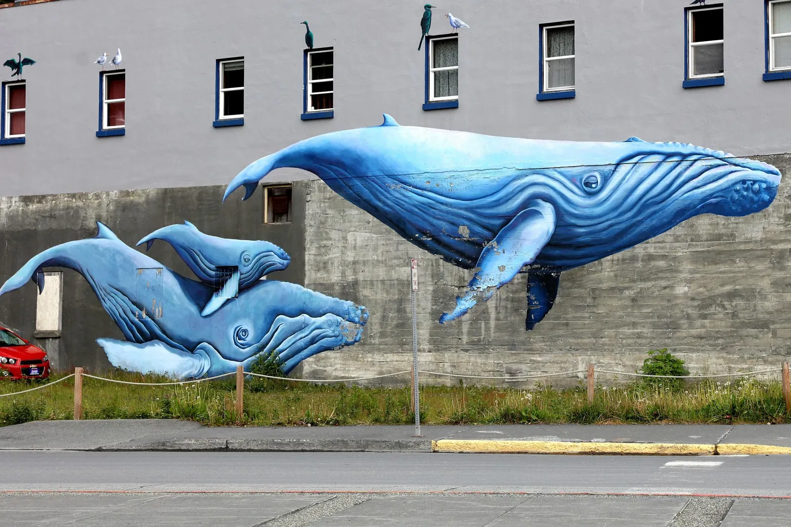 Alaska Sealife Center