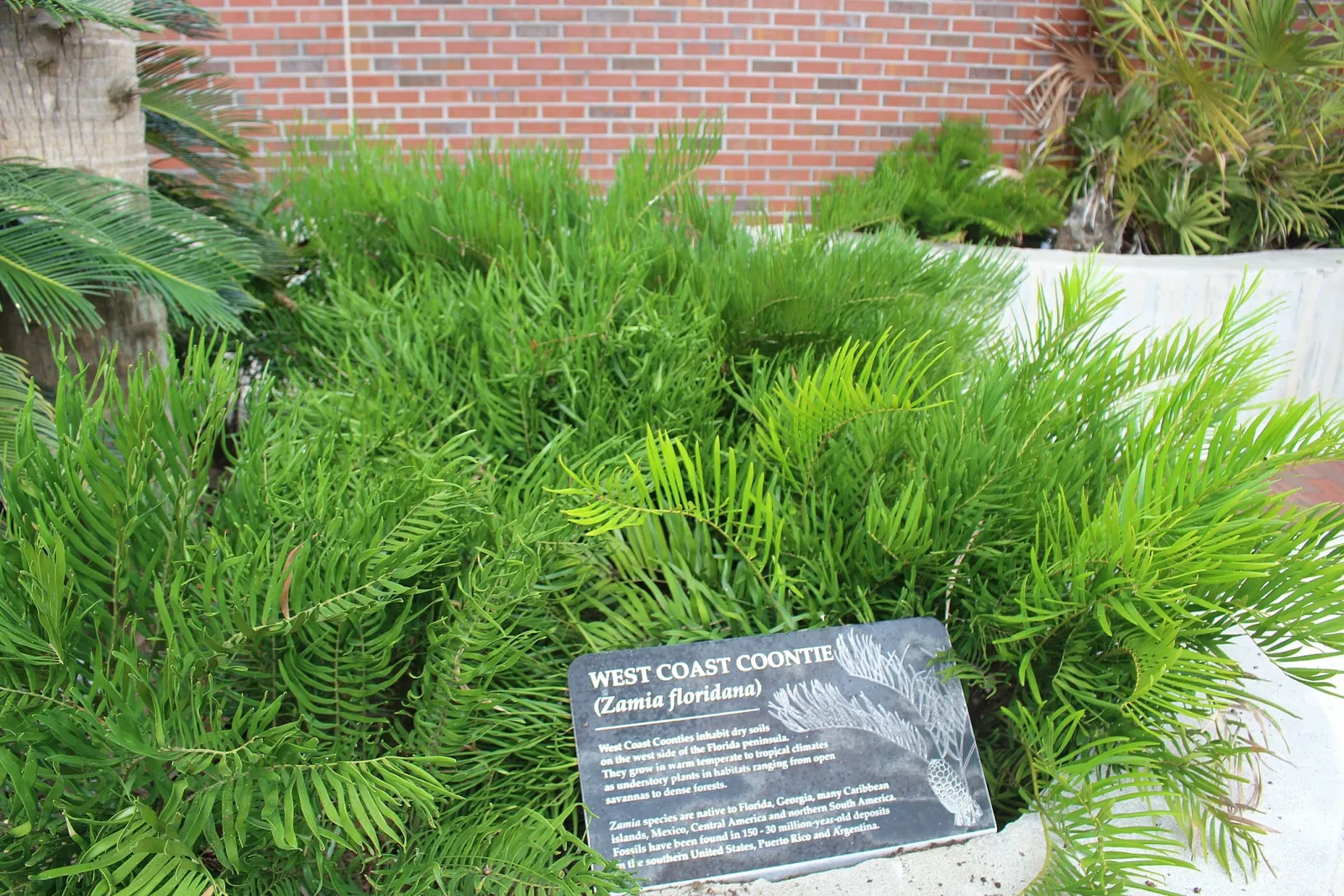 Musée d'histoire naturelle de Floride