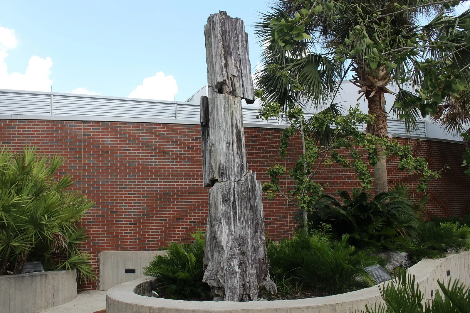 Florida Museum of Natural History