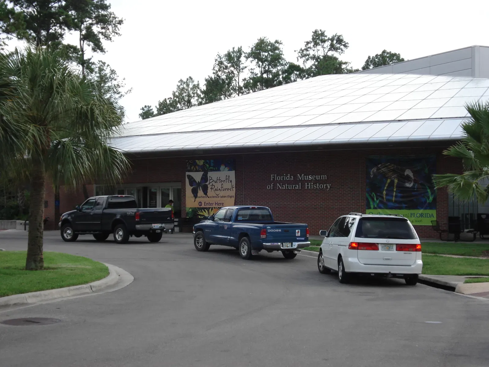 Museo de Historia Natural de Florida