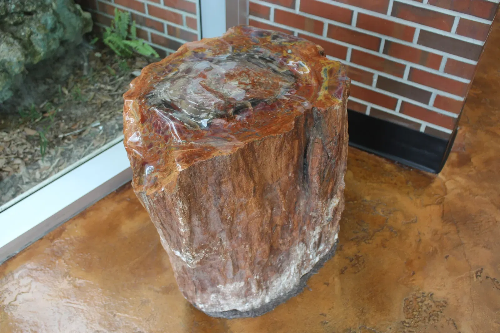 Musée d'histoire naturelle de Floride