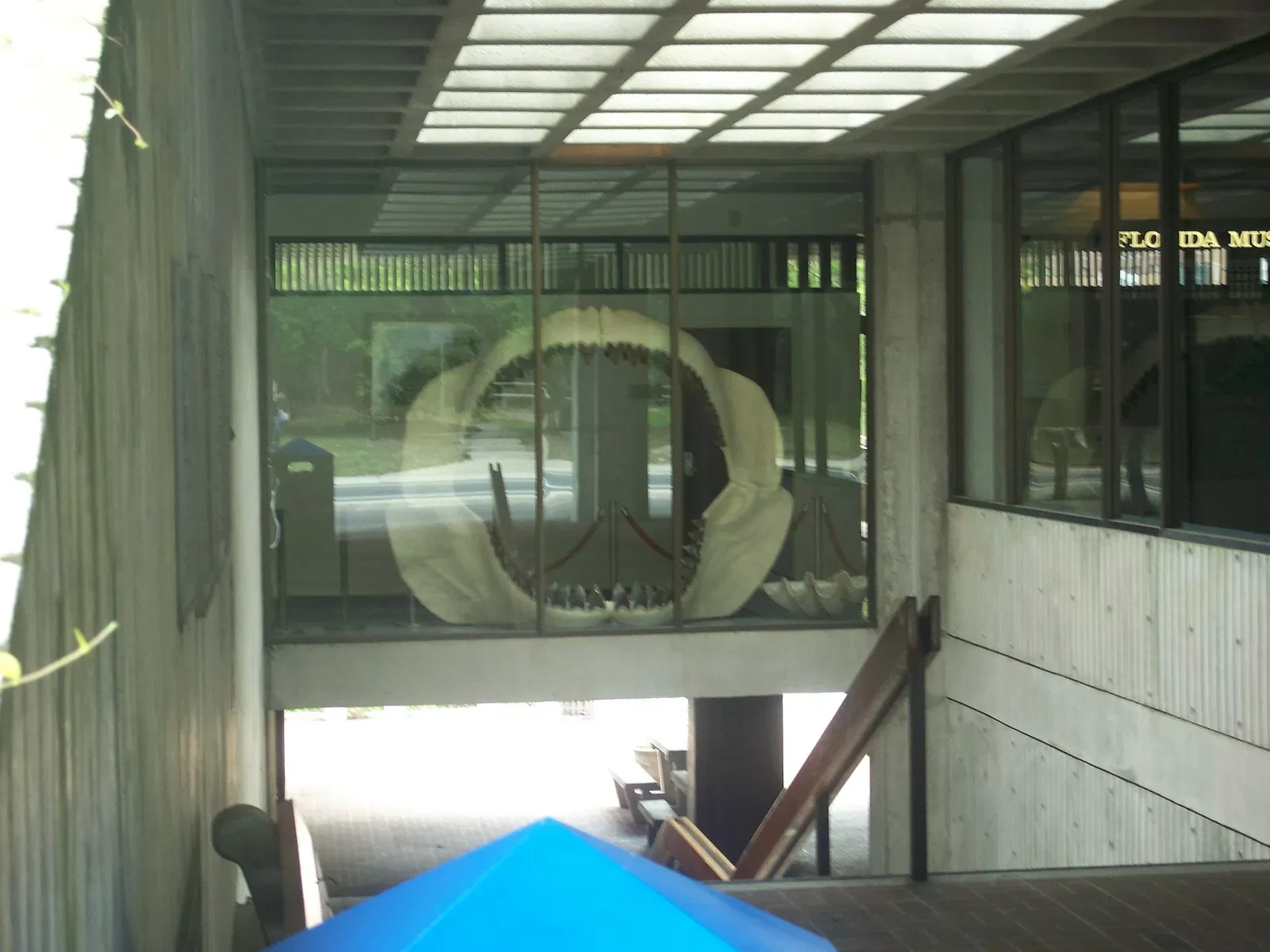 Florida Museum of Natural History