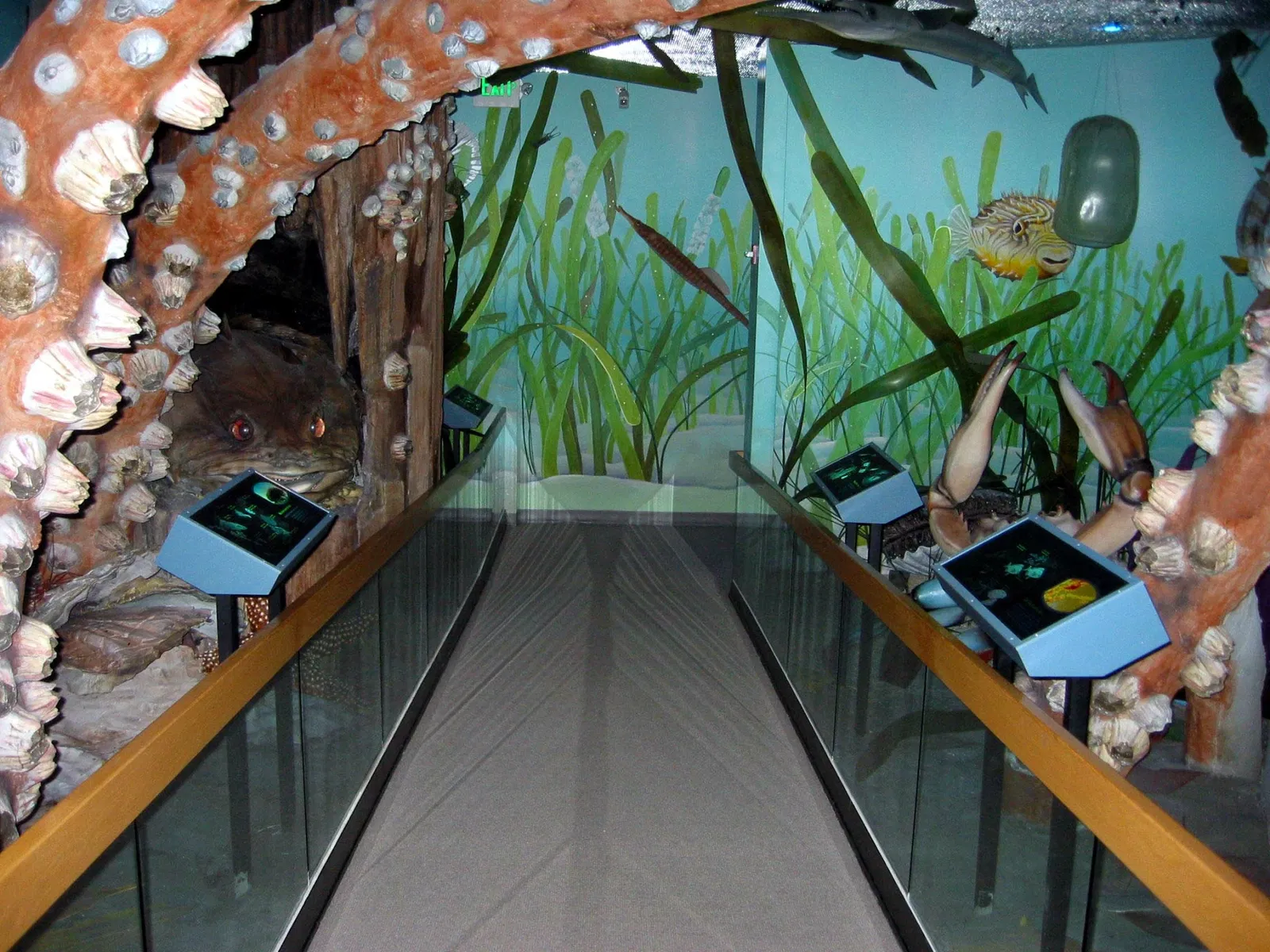 Florida Museum of Natural History