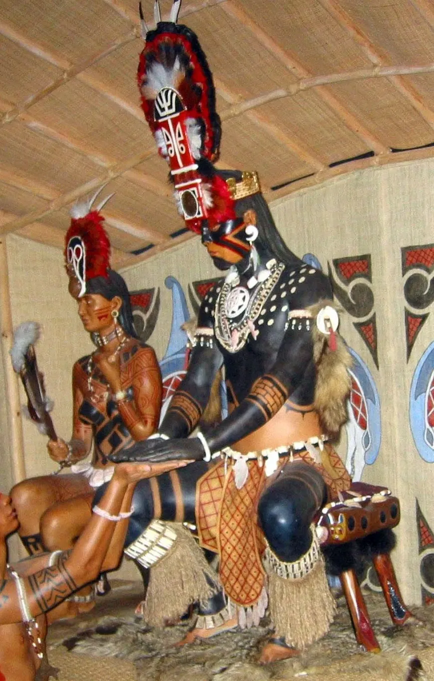 Musée d'histoire naturelle de Floride