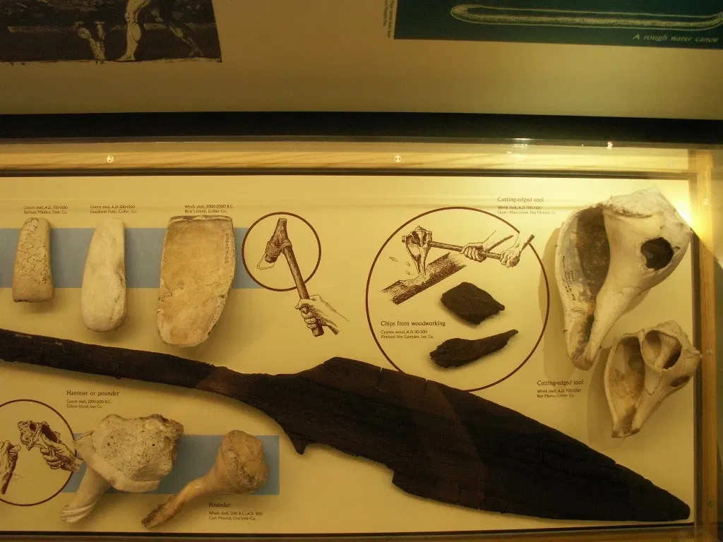 Museo de Historia Natural de Florida