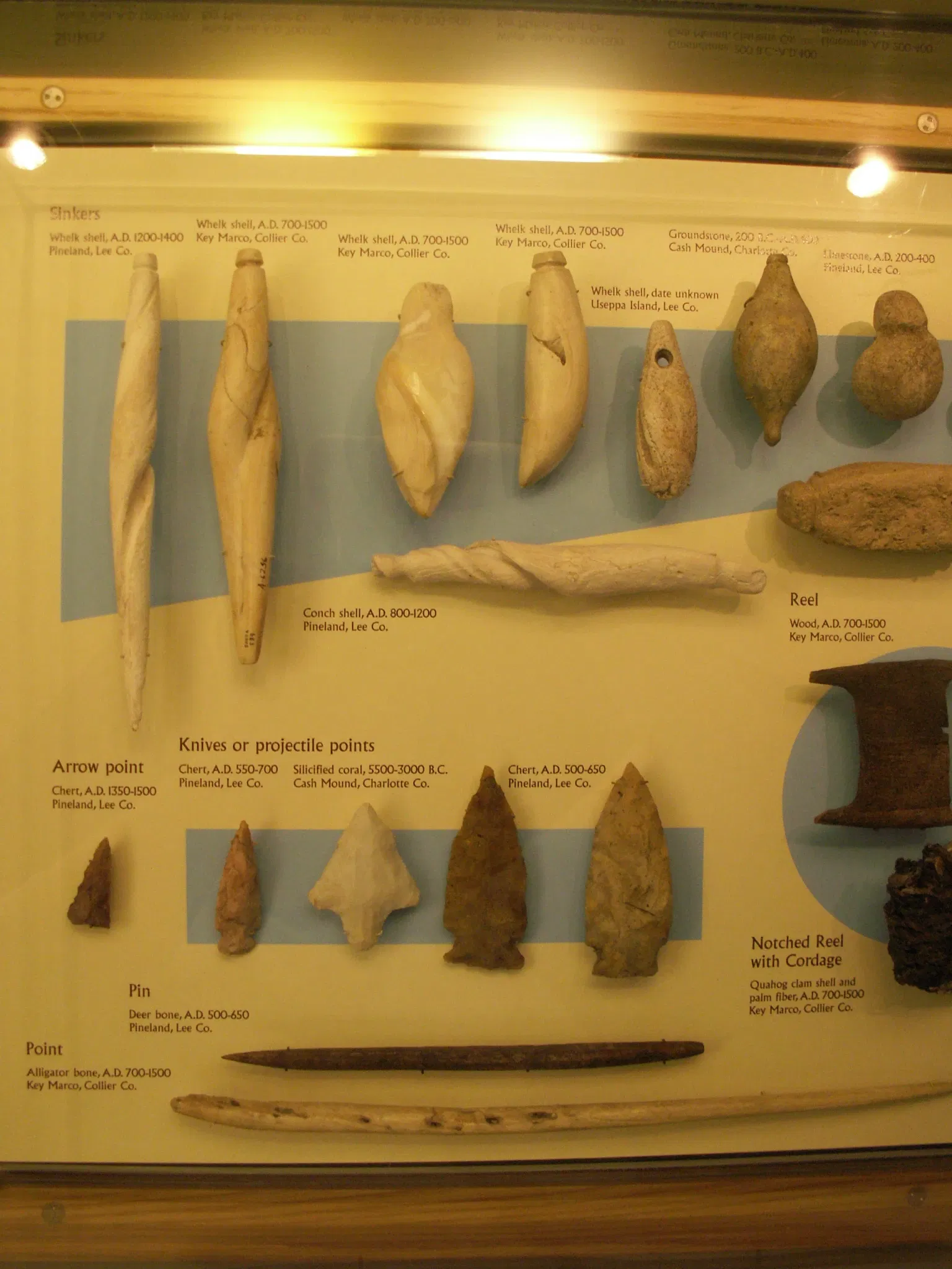 Musée d'histoire naturelle de Floride