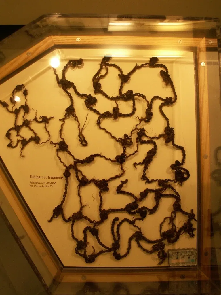 Museo de Historia Natural de Florida