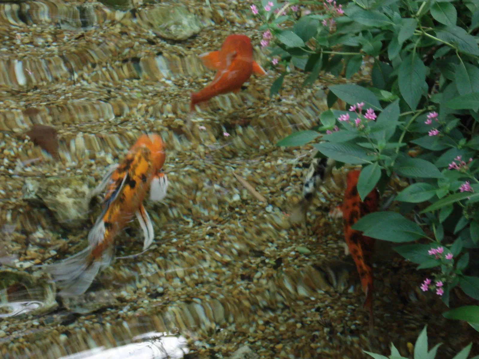 Musée d'histoire naturelle de Floride