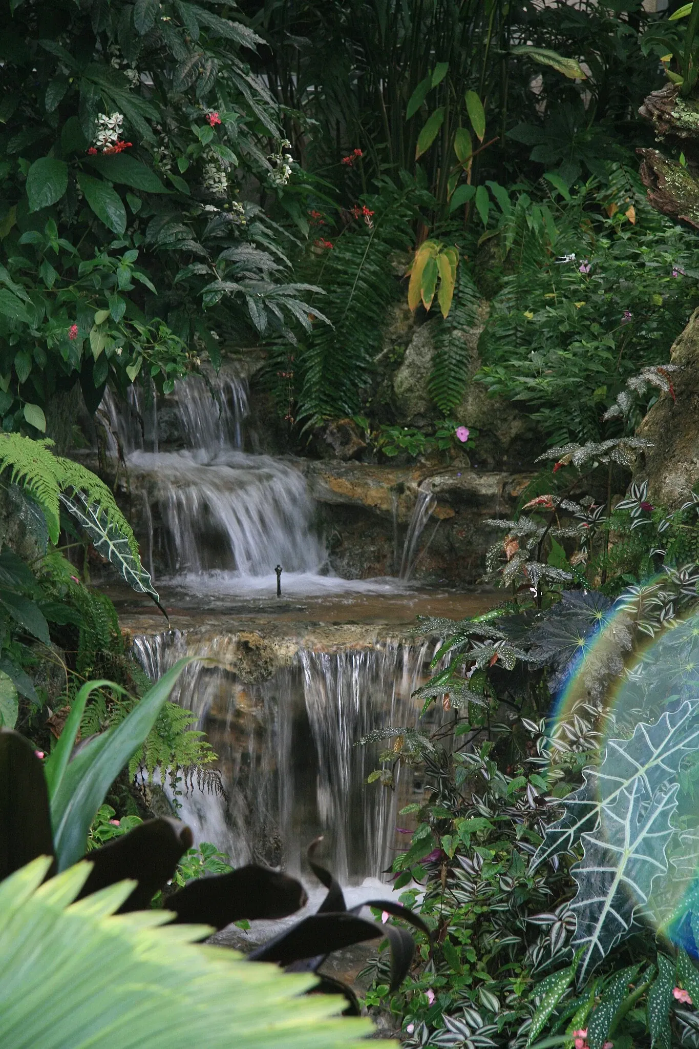 Florida Museum of Natural History