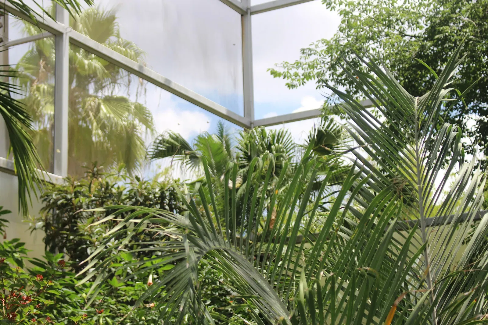 Florida Museum of Natural History