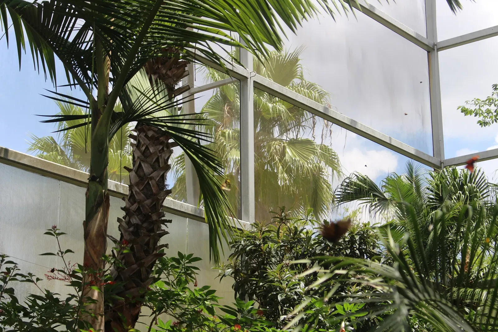 Florida Museum of Natural History