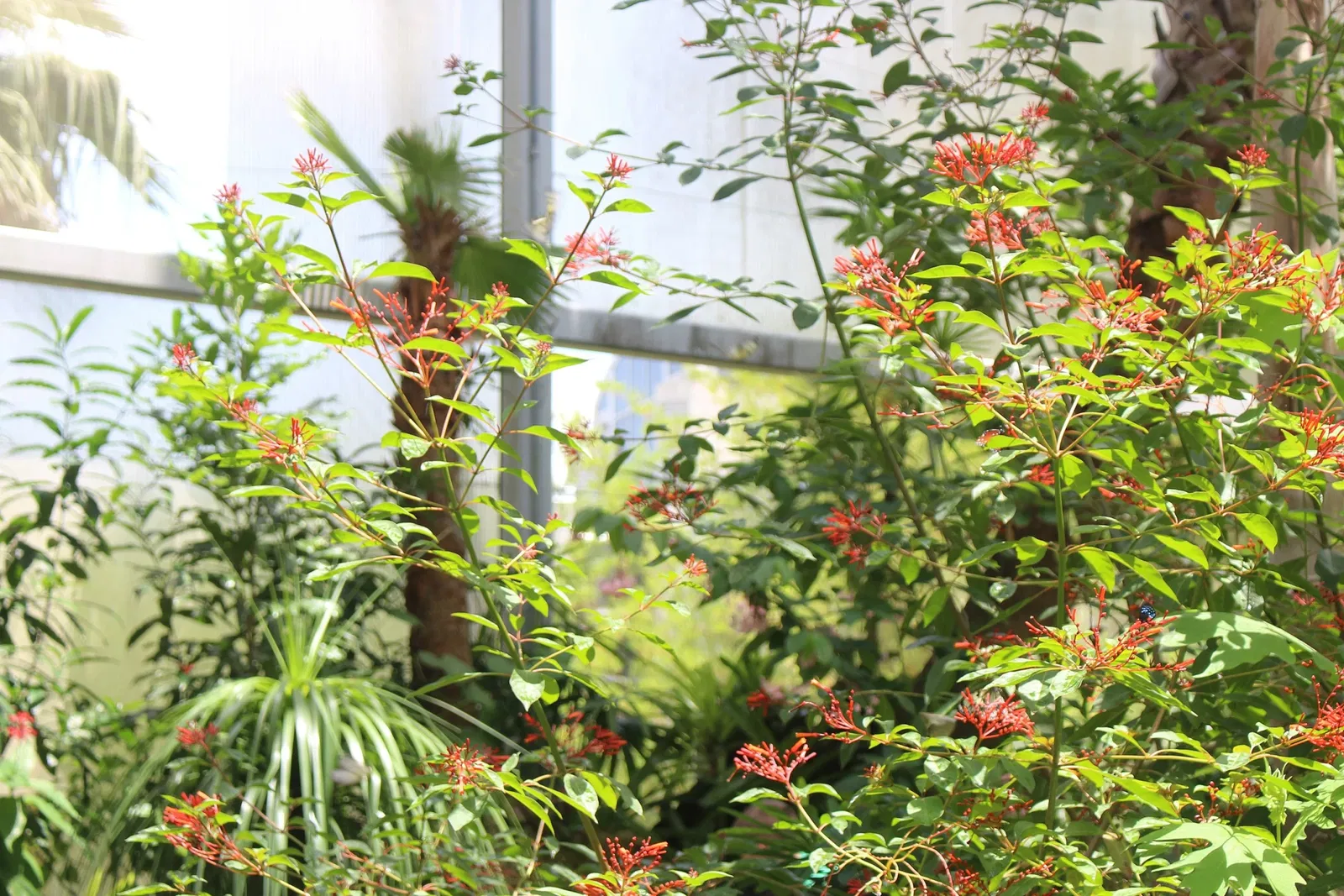 Museo de Historia Natural de Florida