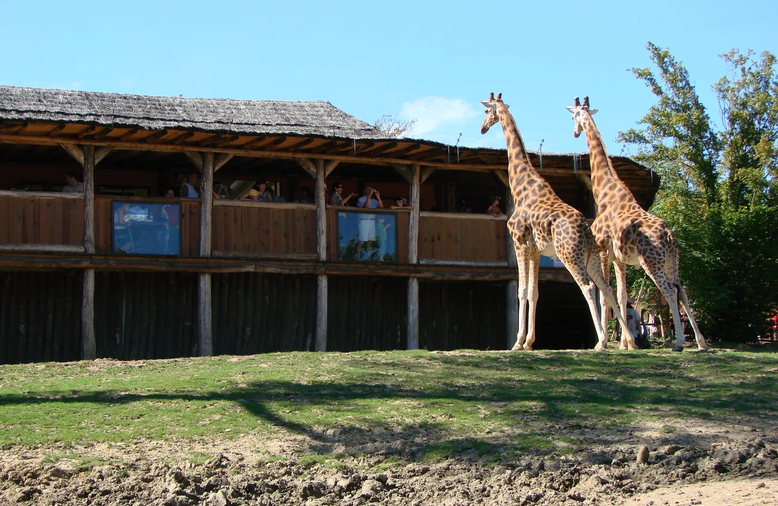 Amnéville Zoo