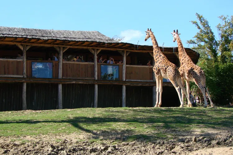 Amnéville Zoo