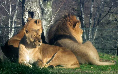 Parco Safari di Pombia