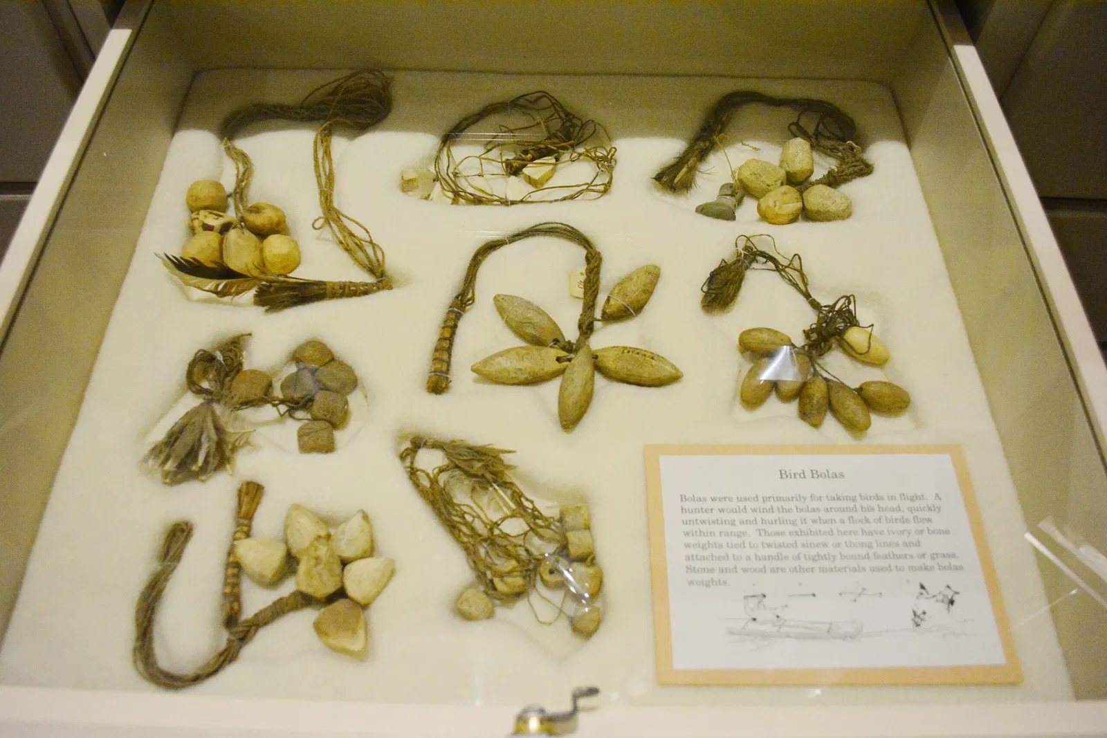 Sheldon Jackson Museum