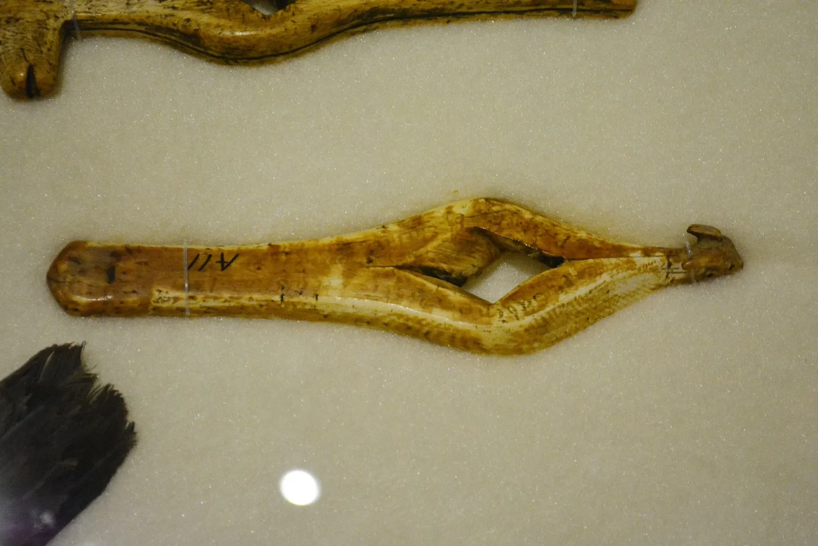 Sheldon Jackson Museum