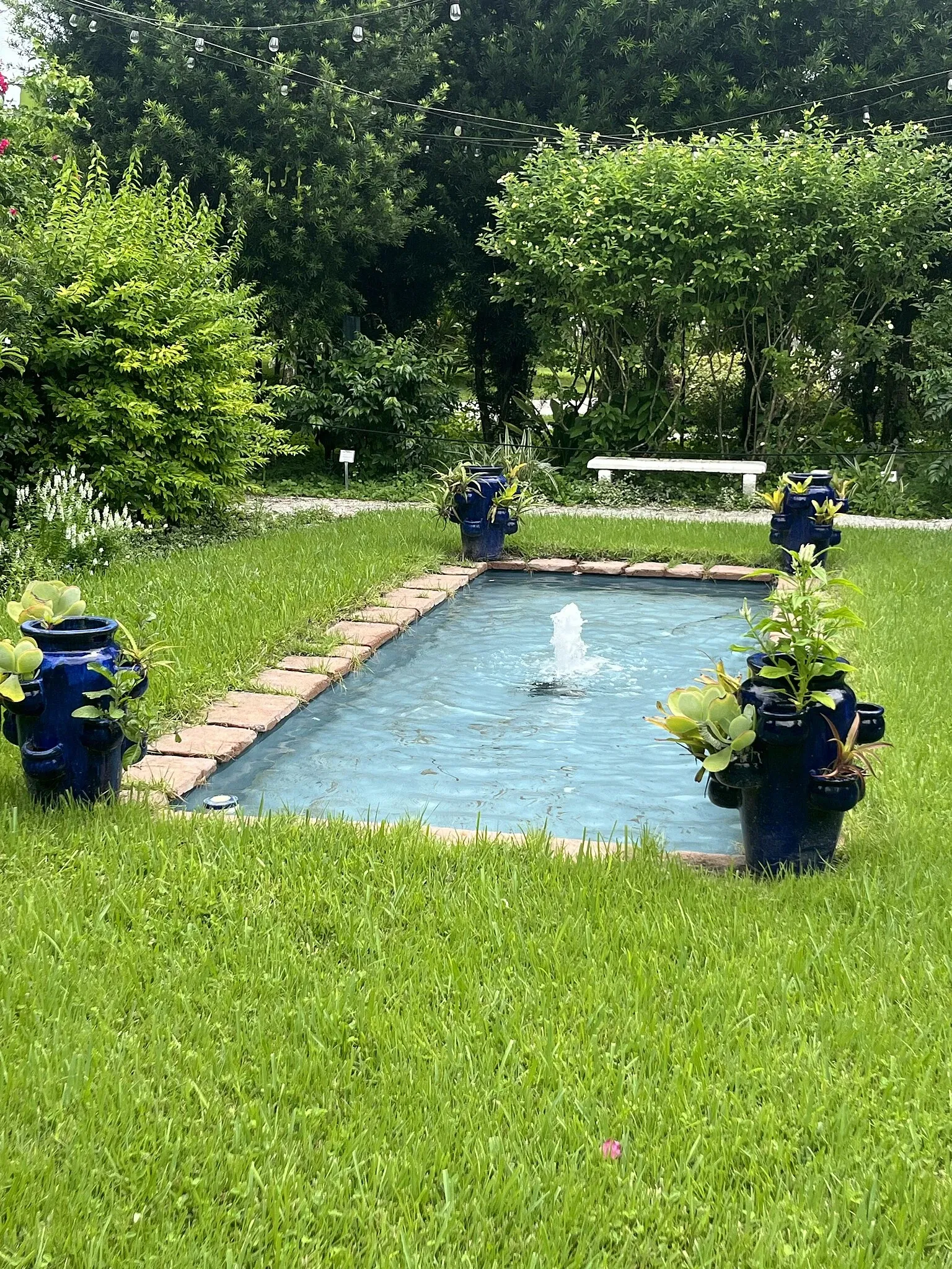 Fincas de Invierno de Edison y Ford