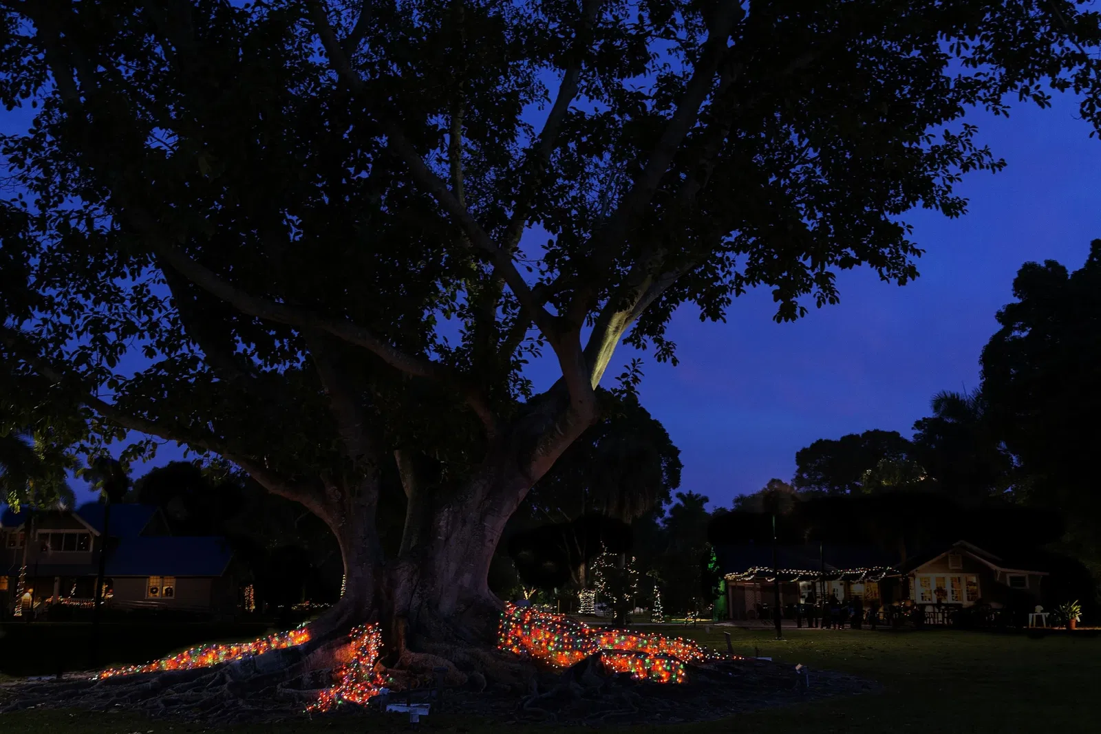 Edison and Ford Winter Estates