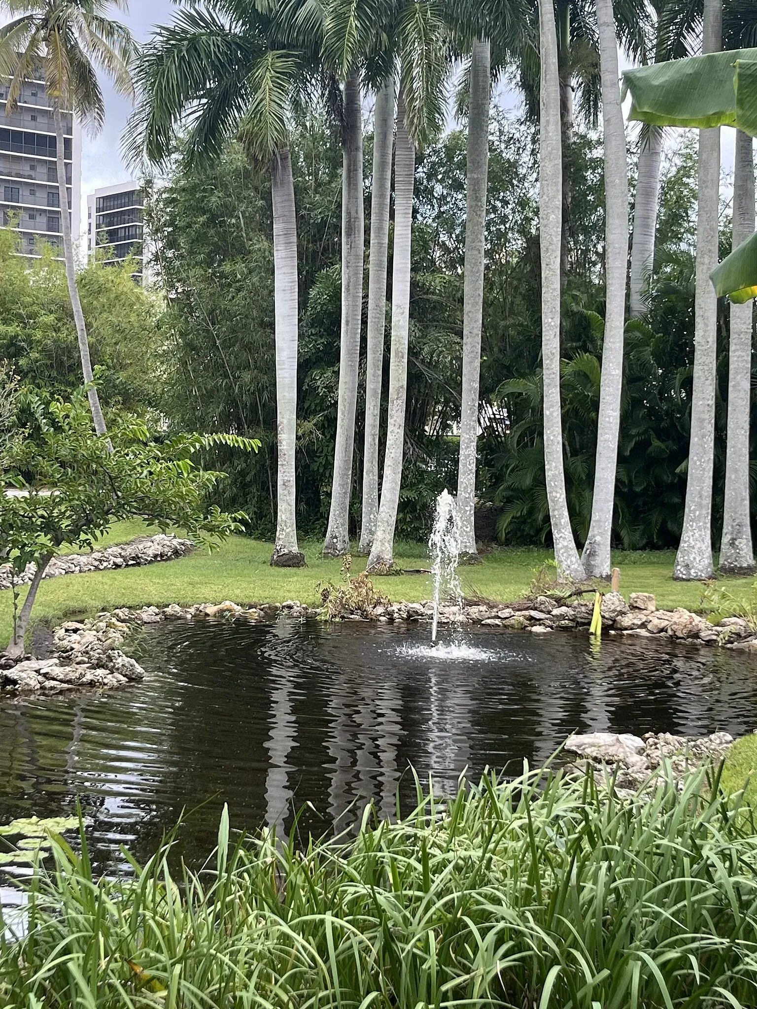 Fincas de Invierno de Edison y Ford