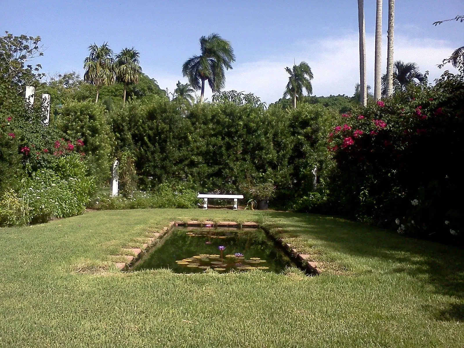 Edison and Ford Winter Estates